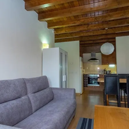 Apartamento Con Garaje En Llivia
